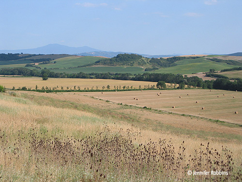 view of countryside