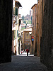 view of Sienna